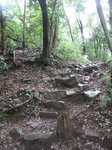 20110620湯坂路s-.jpg