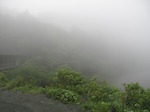 20110620精進池s-.jpg