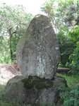 20110705三本松芭蕉碑s-.jpg