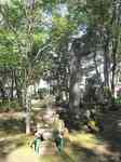 20110910一茶墓s-.jpg
