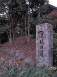 20111222瀧坂旧道碑s-.jpg