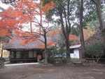20111222蘆花恒春園1s-.jpg