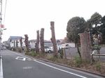 20111225欅寸胴切りs-.jpg