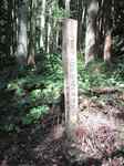 20120908産坂分岐s-.jpg