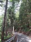 20120909峠道s-.jpg