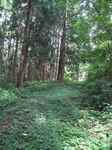 20120909鏡清水への旧道s-.jpg