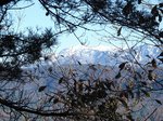 20121125上越国境山s-.jpg