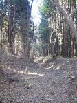 20121125塚原への旧道s-.jpg