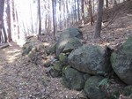 20121125石垣s-.jpg