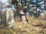 20121125金比羅宮s-.jpg