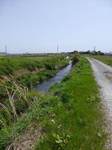 20130418渋田川s-.jpg