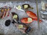 20130503魚屋s-.jpg