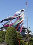 20130503鯉幟s-.jpg