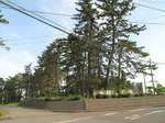 20130702御野立公園s-.jpg