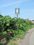 20130702旅立ちの丘s-.jpg