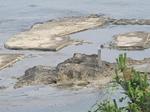 20130702日蓮着岸の地s-.jpg