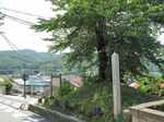 20130807三沢一里塚s-.jpg