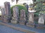 20131113青面金剛s- .jpg